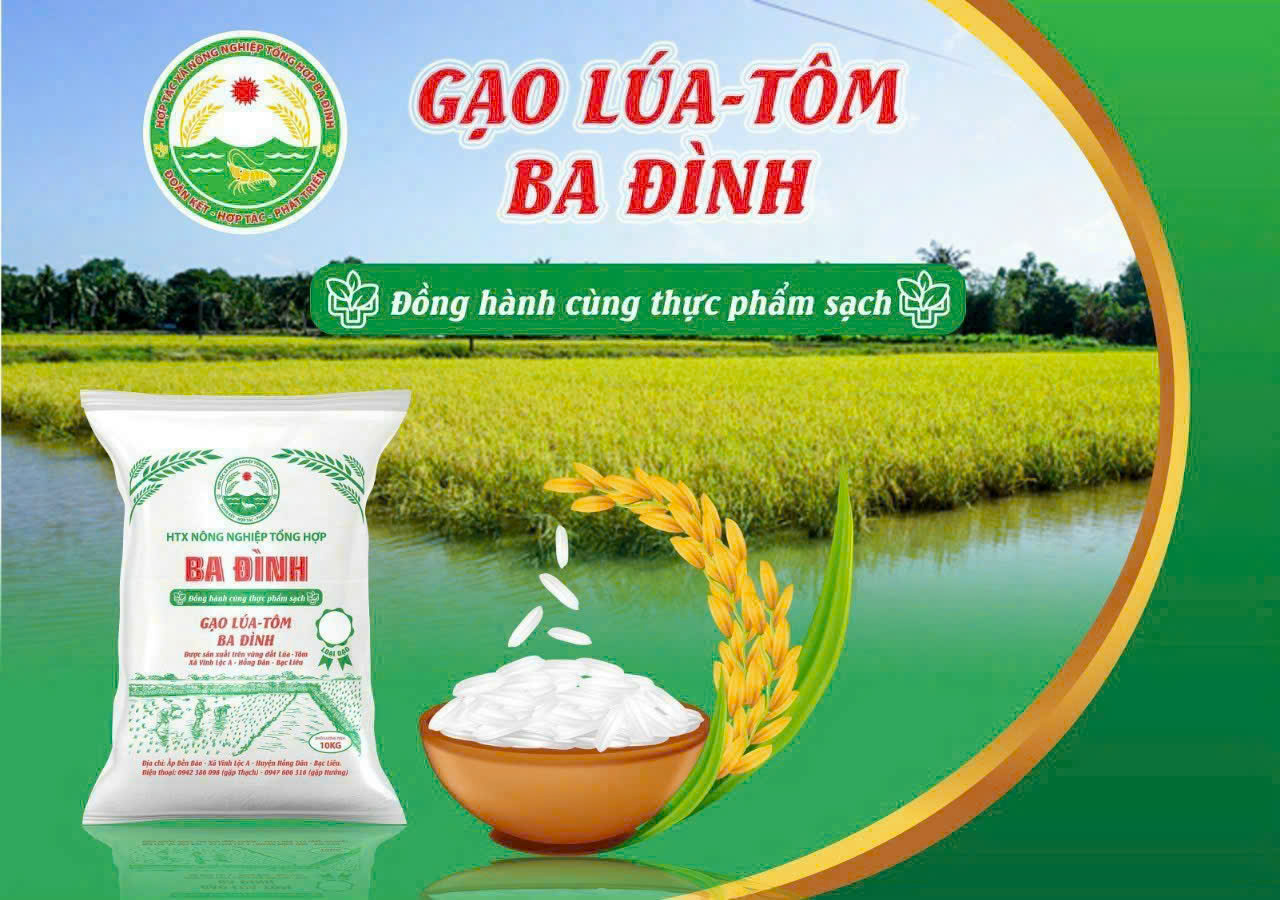 Gạo lúa tôm Ba Đình - Hợp Tác Xã Nông Nghiệp Tổng Hợp Ba Đình